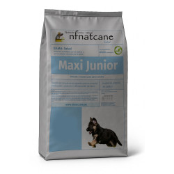Maxi Junior
